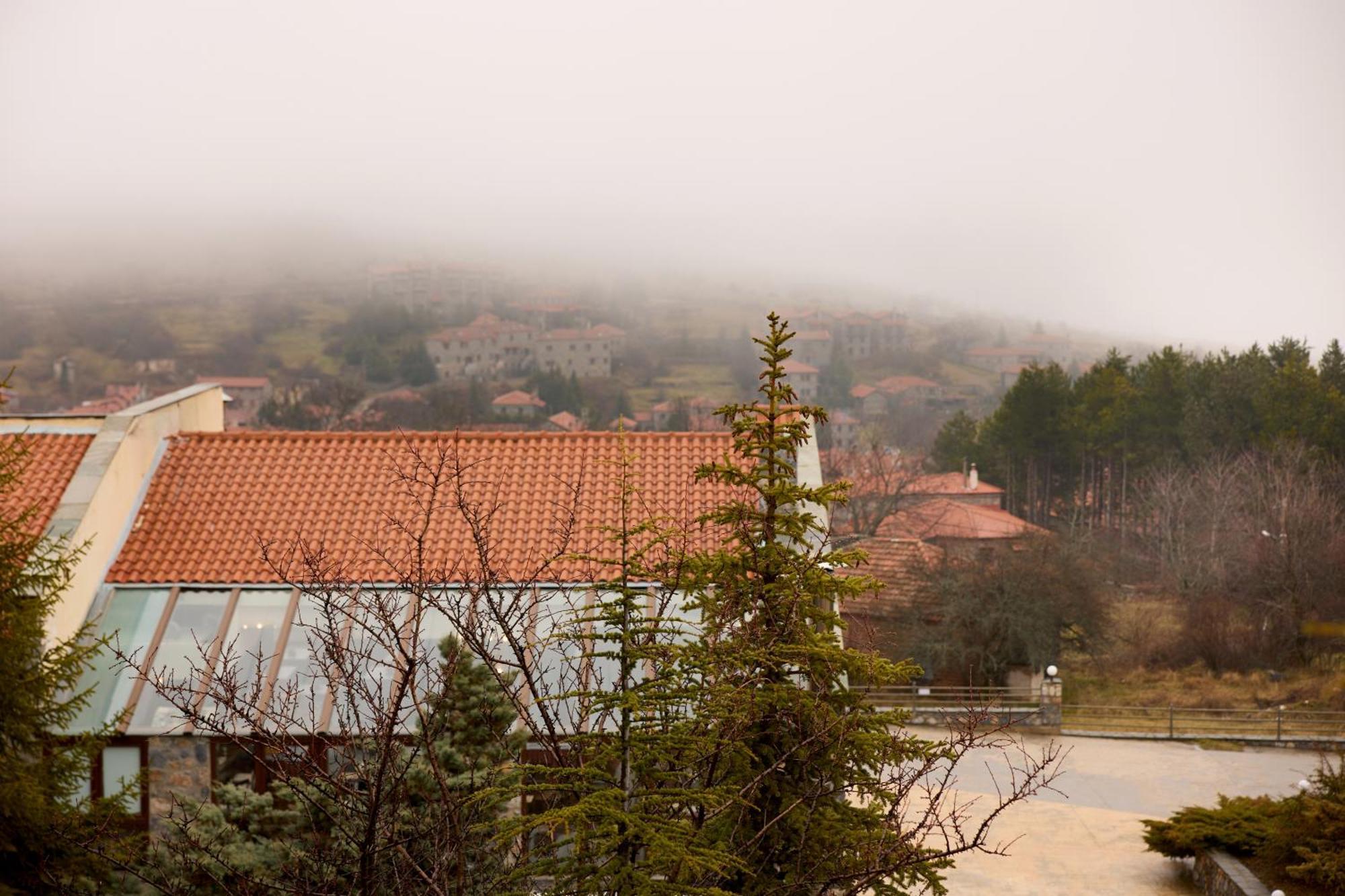 Domotel Neve Mountain Resort Agios Athanasios  Eksteriør billede
